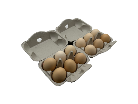 Newspaper Pulp Egg Box (6+6)