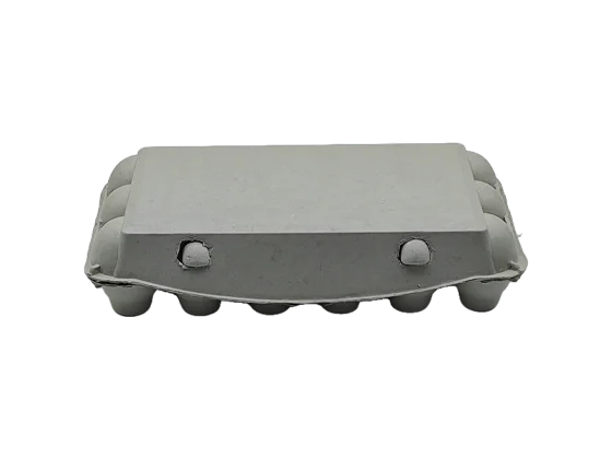 Newspaper Pulp Egg Box (3*6)