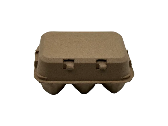 6 Egg Carton