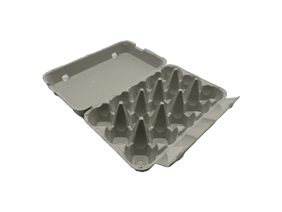 Newspaper Pulp Egg Box (3*5)