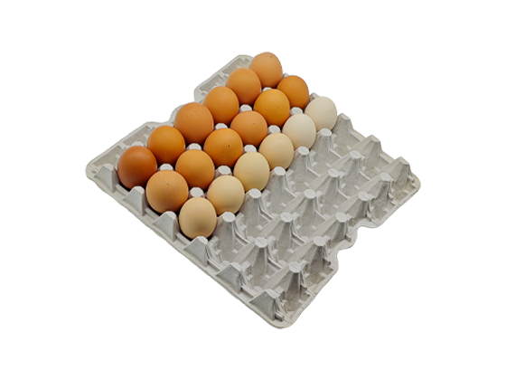 Newspaper Pulp Egg Tray (5*6)
