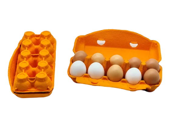 Colored Pulp Egg Cartons