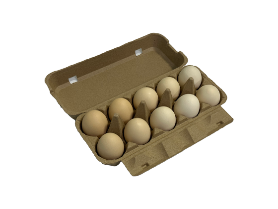 Paper Egg Cartons