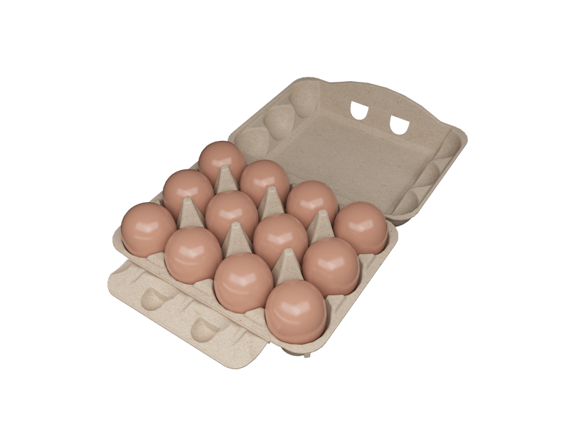 12-EGG BOX(3*4)