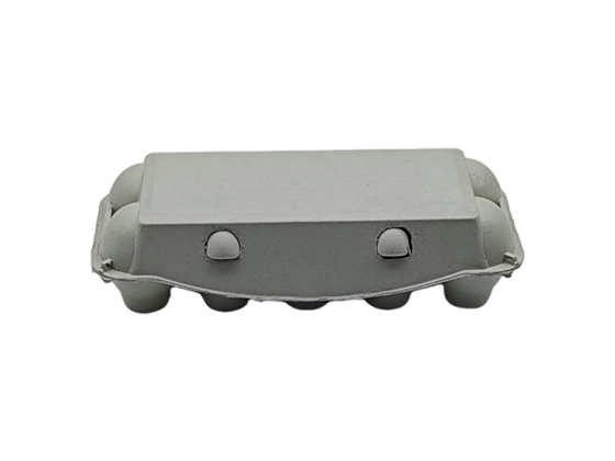 Newspaper Pulp Egg Box (2*5)