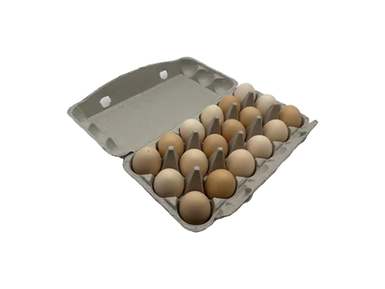 Newspaper Pulp Egg Box (3*6)