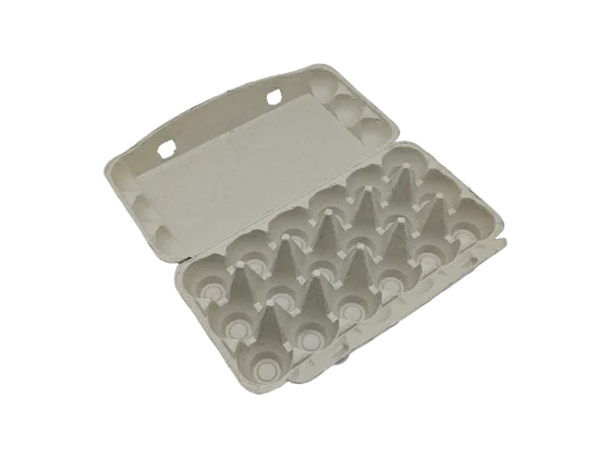 Newspaper Pulp Egg Box (3*6)