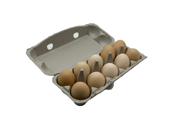 Newspaper Pulp Egg Box (2*5)