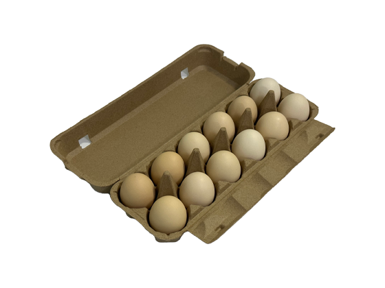 12 Egg Box
