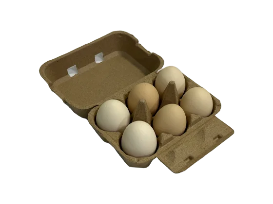 6 Egg Carton