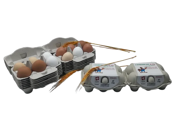 Custom Egg Boxes