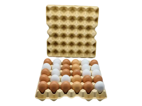 Tray Of 30 Eggs Price