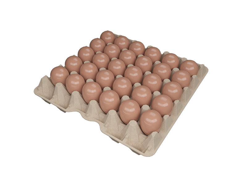 Choosing the Right Packaging: The Case for Square Egg Cartons