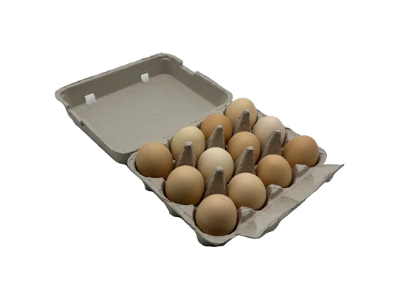 Newspaper Pulp Egg Box (3*4)