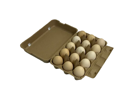 Egg Carton Packaging
