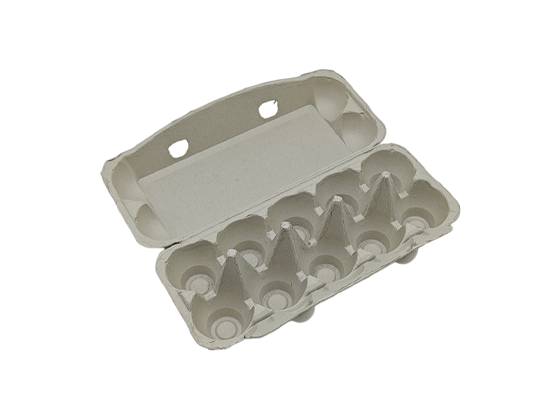 Newspaper Pulp Egg Box (2*5)