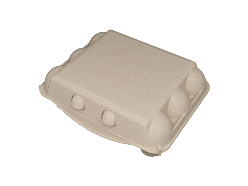 12-EGG BOX(3*4)