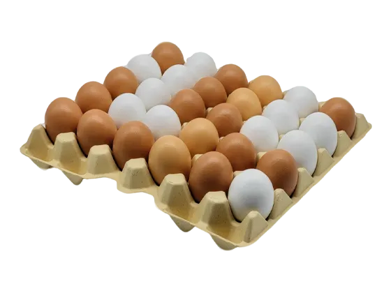 Tray Of 30 Eggs Price