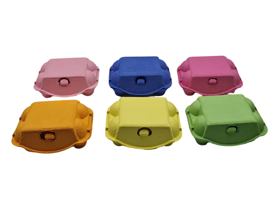 Colored Egg Carton
