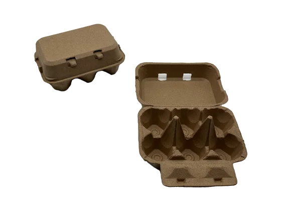 6 Egg Carton