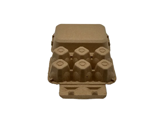 6 Egg Carton