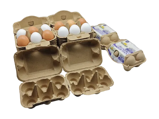 Paper Egg Cartons
