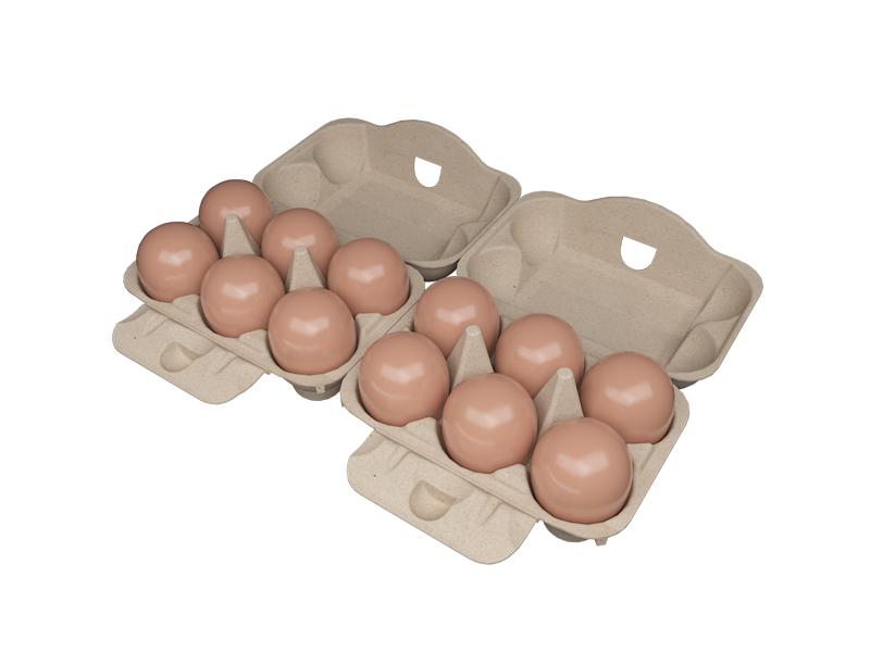 The Versatility of Egg Carton Packaging: A Sustainable Solution for Various Industries