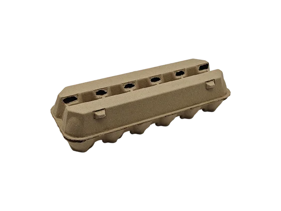 Egg Carton Boxes