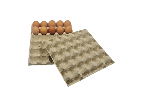 Paper Pulp Egg Tray