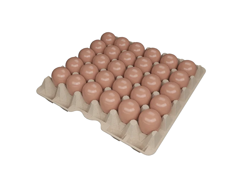 Bandeja para 30 ovos