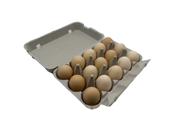 Newspaper Pulp Egg Box (3*5)