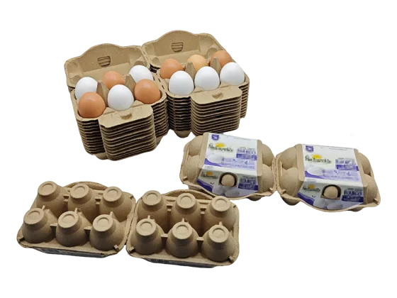 Paper Egg Cartons