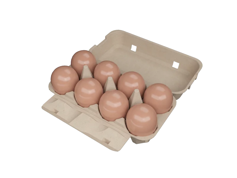 Caixa com 8 ovos