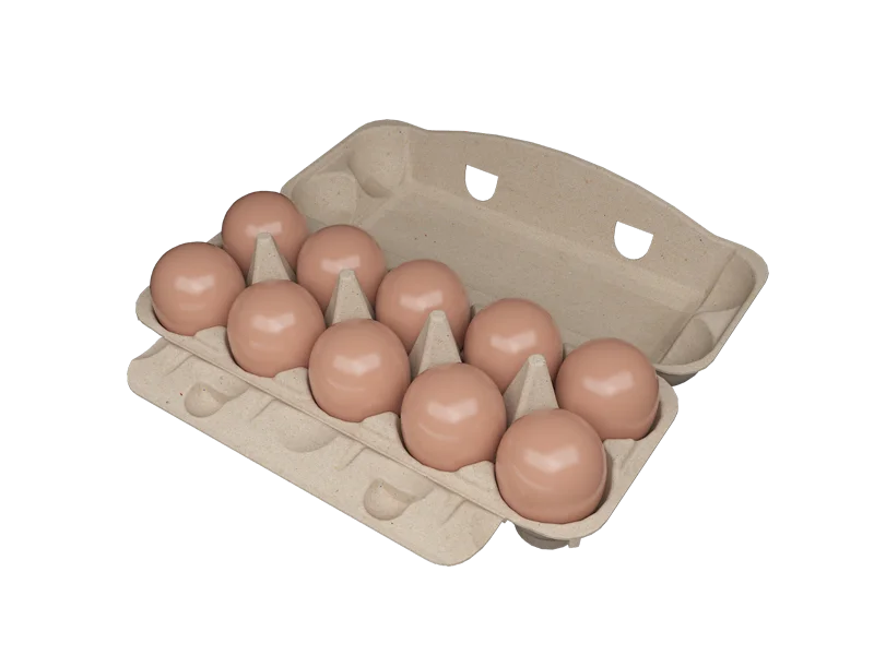 Caixa com 10 ovos