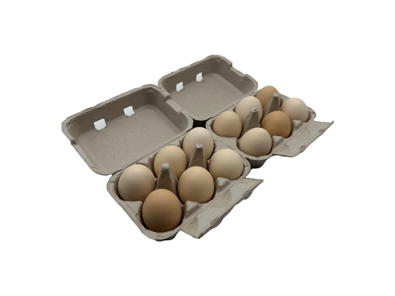 Newspaper Pulp Egg Box (6+6)