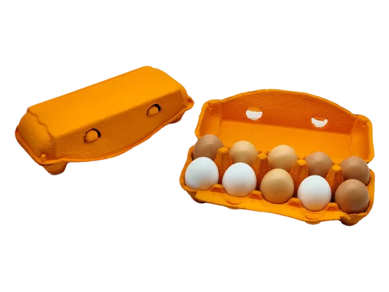 Colored Pulp Egg Cartons