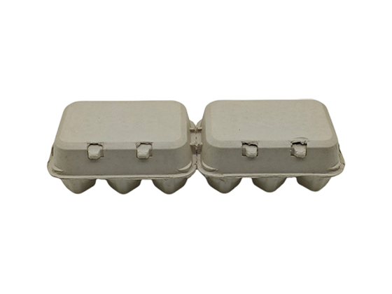 Newspaper Pulp Egg Box (6+6)