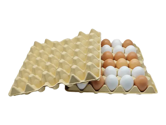 Tray Of 30 Eggs Price