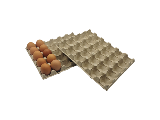 Paper Pulp Egg Tray