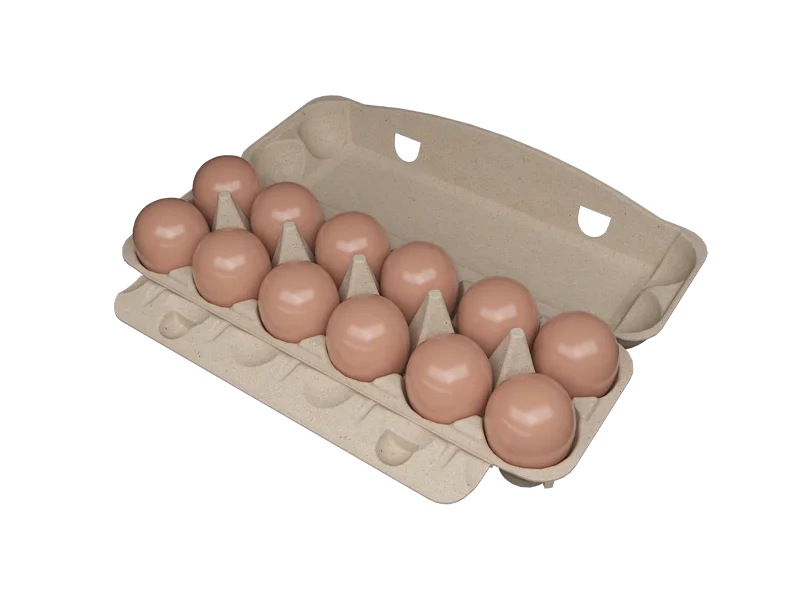 Caixa com 12 ovos