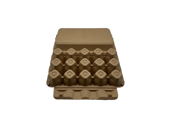 Egg Carton Packaging
