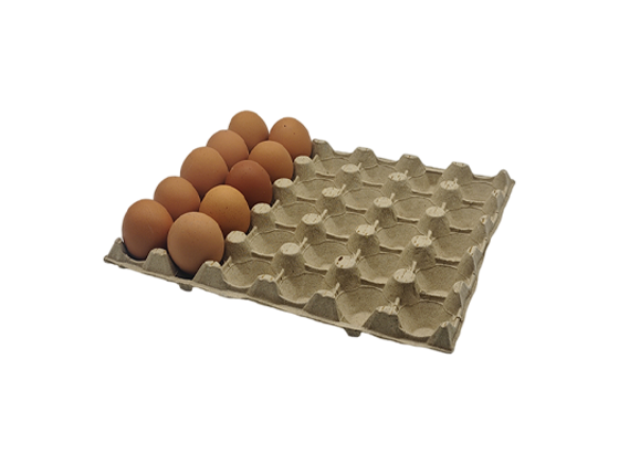 Paper Pulp Egg Tray