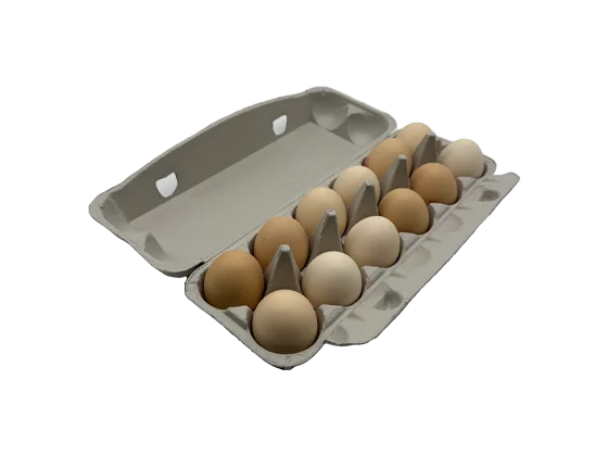 Newspaper Pulp Egg Box (2*6)