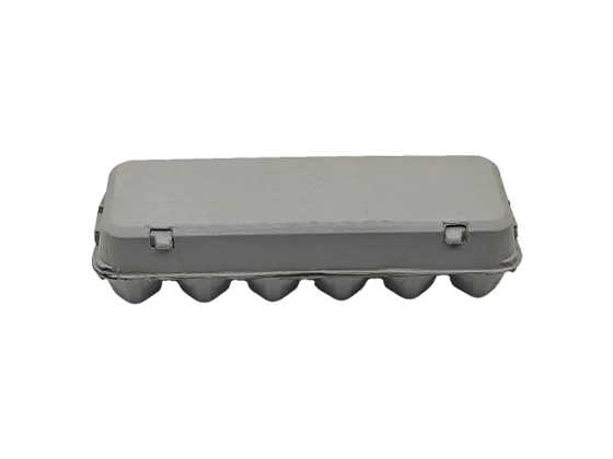 Newspaper Pulp Egg Box (2*6)
