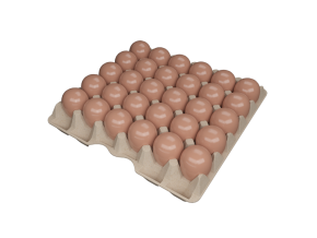 ET Large 30 pieces