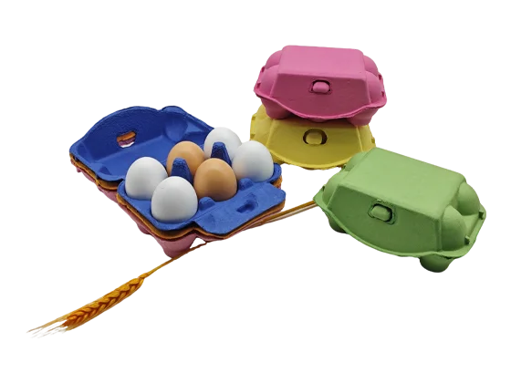 Colored Egg Carton