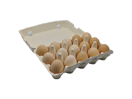 White Egg Box (3*5)
