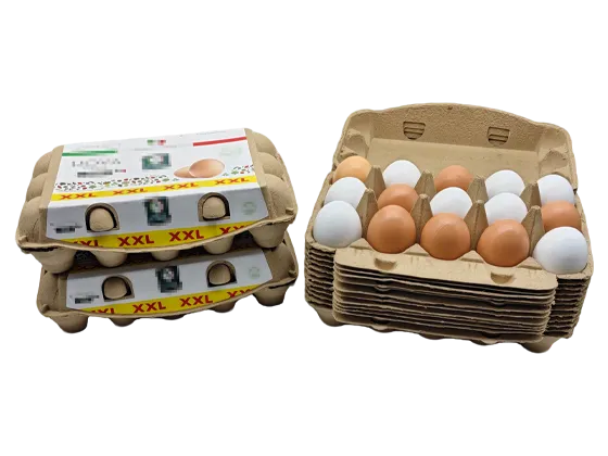 Carton Of Eggs