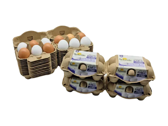 Paper Egg Cartons