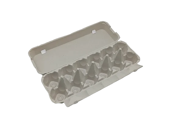 Newspaper Pulp Egg Box (2*6)